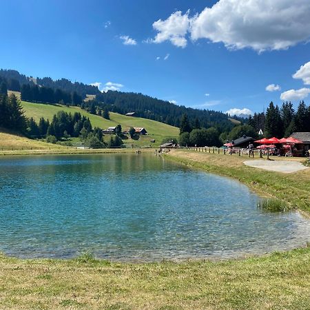 Chaleureux appartement rénové ambiance chalet Praz-sur-Arly Esterno foto