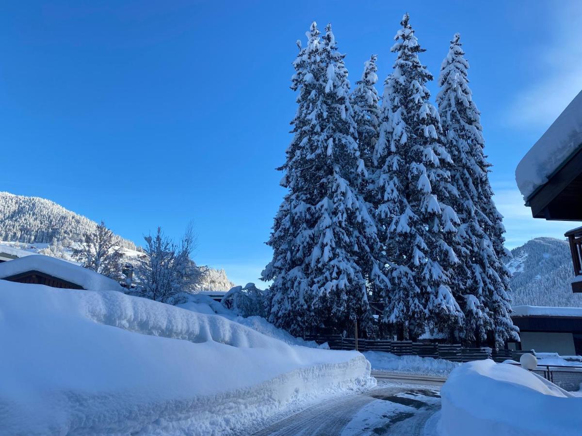 Chaleureux appartement rénové ambiance chalet Praz-sur-Arly Esterno foto