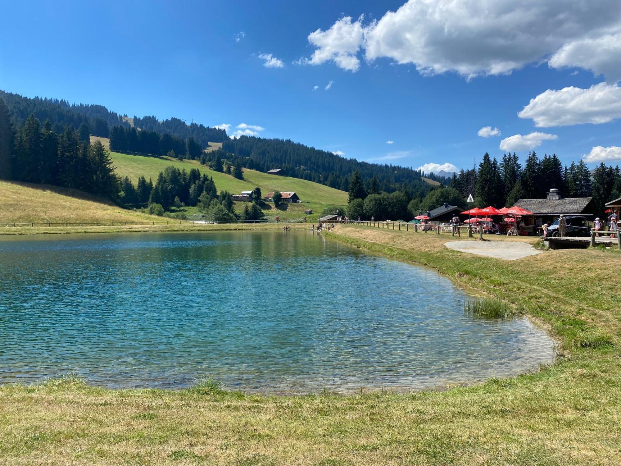 Chaleureux appartement rénové ambiance chalet Praz-sur-Arly Esterno foto